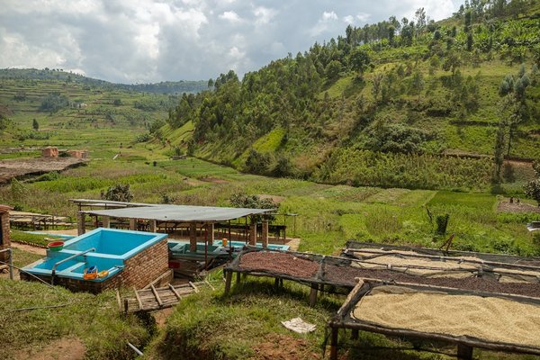 Techniques pour créer et maintenir un blog informatif sur le recyclage et la gestion des déchets